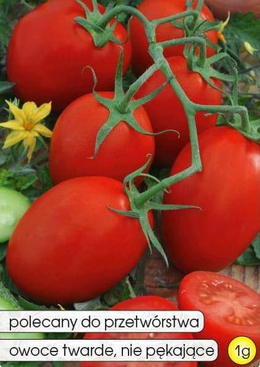 Ground tomato PIKADOR 1g (Solanum lycopersicum L.)