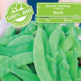Sugar Snap Pea NORLI 15g BIO (Pisum sativum)