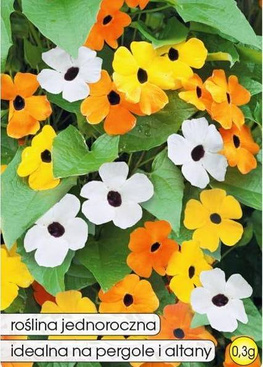 Winged Thunbergia mix 0.3g (Thunbergia alata)