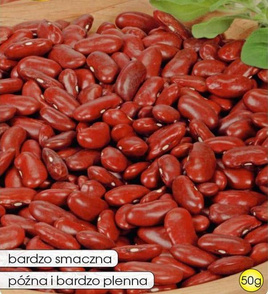 Fasola na suche nasiona KREACJA 50g (Phaseolus vulgaris)