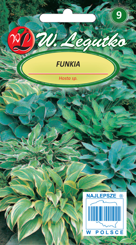 Funkia mix gatunków 0,1g (Hosta sp.)