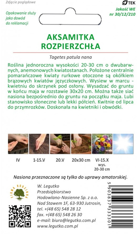 Orange Flame French Marigold 1g (Tagetes patula nana)