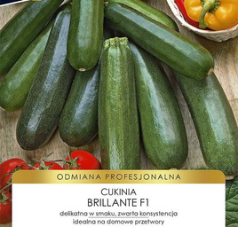 Zucchini Pumpkin BRILLANTE common hybrid F1 PROFI 15 seeds (Cucurbita pepo)