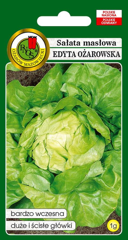 Butterhead lettuce EDYTA OŻAROWSKA 1g (Lactuca sativa var.capitata)