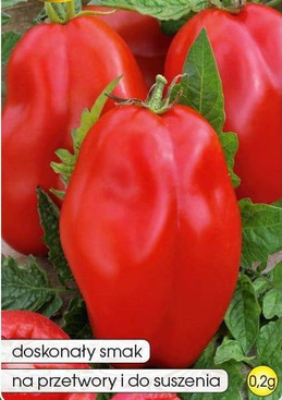 San Marzano 2 Tomato under cover 0.2g (Solanum lycopersicum L.)