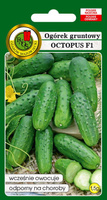 Ogórek gruntowy OCTOPUS  F1 1,5g (Cucumis sativus)