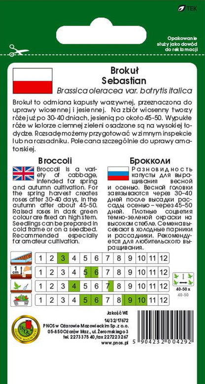 Brokuł SEBASTIAN 2g (Brassica oleracea var. botrytis italica)