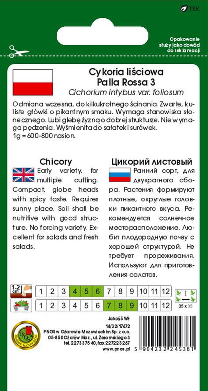Cykoria liściowa PALLA ROSSA 3 0,5g (Cichorium intybus var. foliosum)