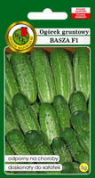 Ogórek gruntowy BASZA F1 5g (Cucumis sativus)