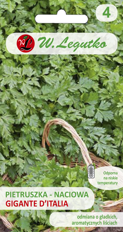 Italian Giant Flat Leaf Parsley 2g (Petroselinum crispum)