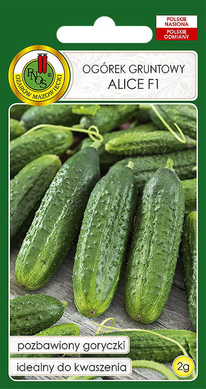 Pickling cucumber ALICE F1 hybrid 2g (Cucumis sativus)