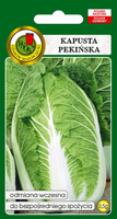 Kapusta pekińska CAPITOL F1 0,5g (Brassica rapa)