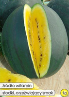 Arbuz Kawon JANOSIK 1g (Citrullus lanatus)