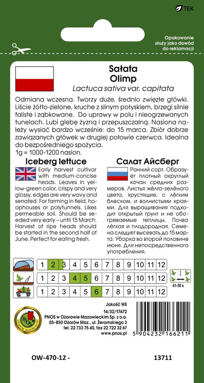 Crisp lettuce (iceberg) OLIMP 1g (Lactuca sativa var. capitata)