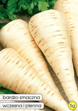 Horse Radish Parsley Root 5g (Petroselinum crispum convar. radicosum)