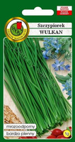 Chives WULKAN 1g (Allium schoenoprasum)