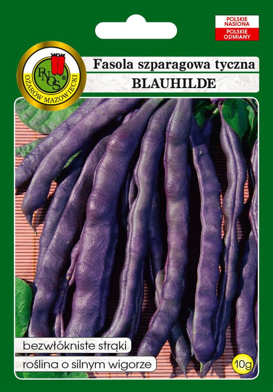 Purple pole bean BLAUHILDE 10g (Phaseolus vulgaris)