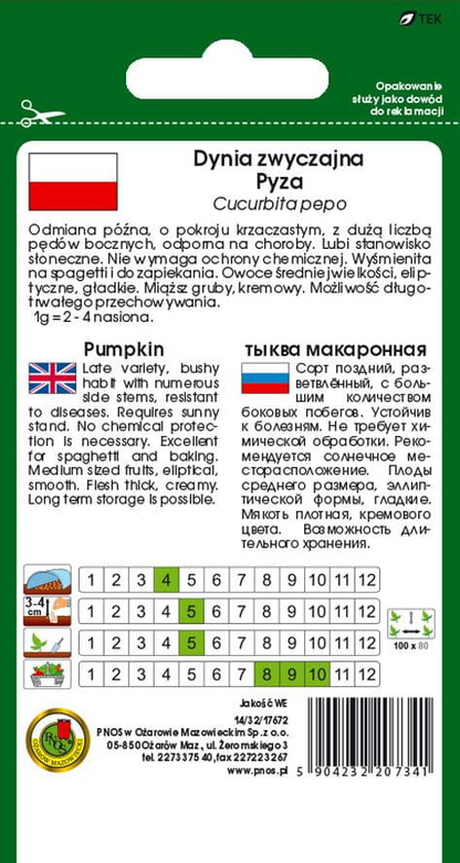 Dynia zwyczajna makaronowa PYZA 3g (Cucurbita pepo)