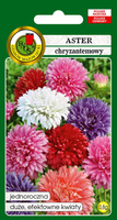 Chrysanthemum Aster Mixed Colors 0.8g (Callistephus chinensis fl. pl.)