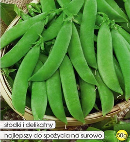 Groch cukrowy BAJKA 50g (Pisum sativum)