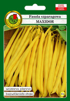 Yellow dwarf MAXIDOR green beans 30g (Phaseolus vulgaris)
