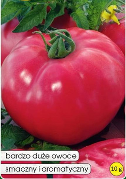 Beefsteak Tomato MALINOWY OLBRZYM 10g (Solanum lycopersicum L.)