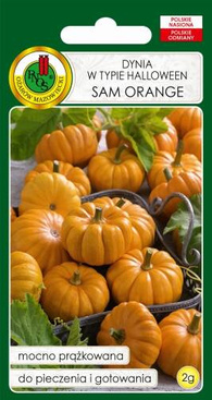 Dynia zwyczajna Halloween SAM ORANGE 0,5g (Cucurbita pepo)