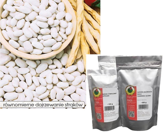 IGOŁOMSKA-IGOŁOMSKA OŻA 500g dry bean (Phaseolus vulgaris)