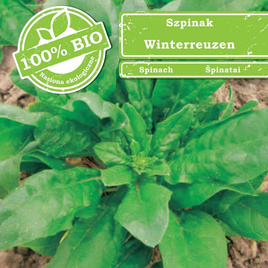 Spinach WINTERREUZEN 10g ORGANIC