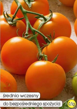 Pomidor tunelowy AKRON F1 0,1g (Solanum lycopersicum L.)