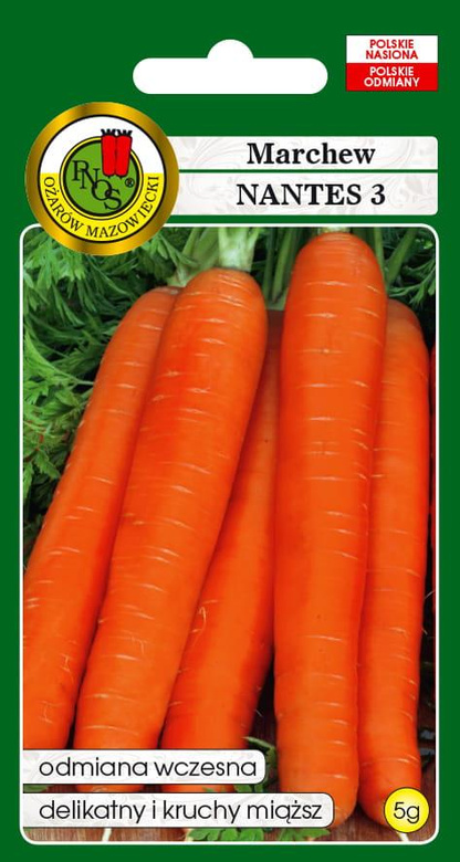 Edible carrot NANTES 3 5g (Daucus carota)