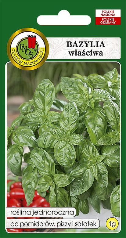 Green Genovese Basil (Ocimum basilicum) 1g