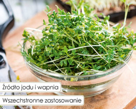 Nasiona na kiełki RZEŻUCHA 30g