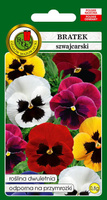 Swiss pansy mix of colors 0.8g (Viola wittrockiana)