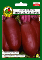 Burak ćwikłowy REGULSKI CYLINDER 20g (Beta vulgaris)