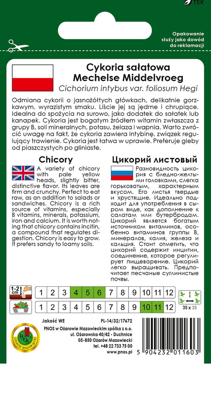 Cykoria sałatowa MECHELSE MIDDELVROEG 0,3g (Cichorium intybus var. foliosum Hegi)