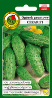 Ogórek gruntowy CEZAR F1 5g (Cucumis sativus)