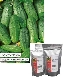 Ground cucumber SOPLICA F1 50g (Cucumis sativus)