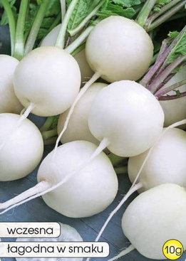 Snow White Radish 10g (Raphanus sativus var. sativus)