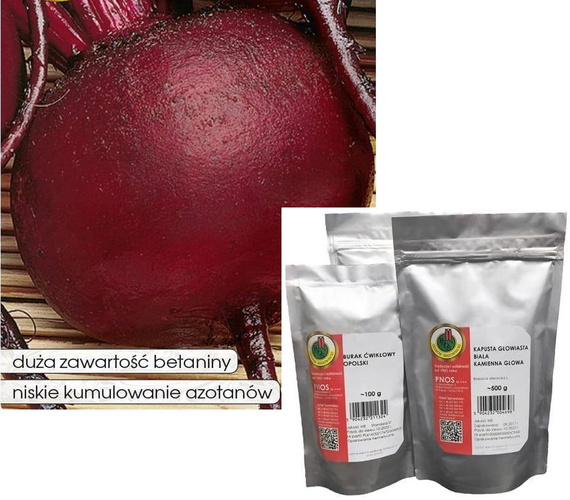 Round dark red beetroot 100g (Beta vulgaris)