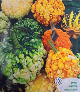 Dynia ozdobna brodawkowa (Cucurbita pepo)