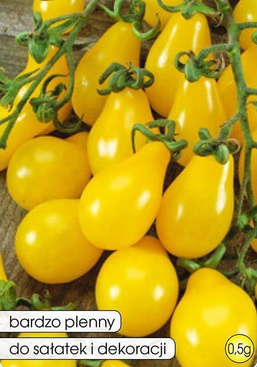 Pomidor gruntowy PERUN 0,5g (Solanum lycopersicum L.)