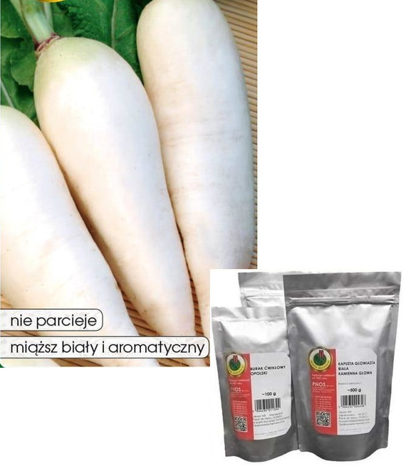 Radish AGATA 100g (Raphanus sativus var. niger)