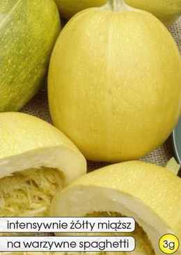 Spaghetti Squash PYZA 3g (Cucurbita pepo)