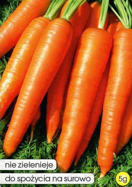 Edible carrot OLYMPUS 5g (Daucus carota)