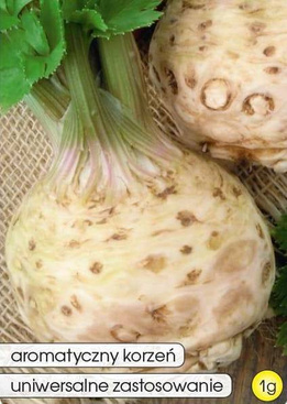 Root celery MAKAR 1g (Apium graveolens)
