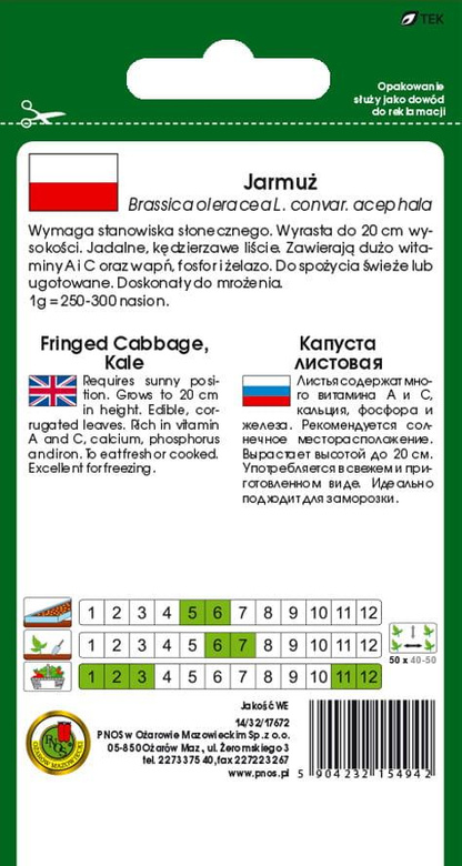 Jarmuż niski DWARF GREEN CURLED 5g (Brassica oleracea L. convar. acephala)