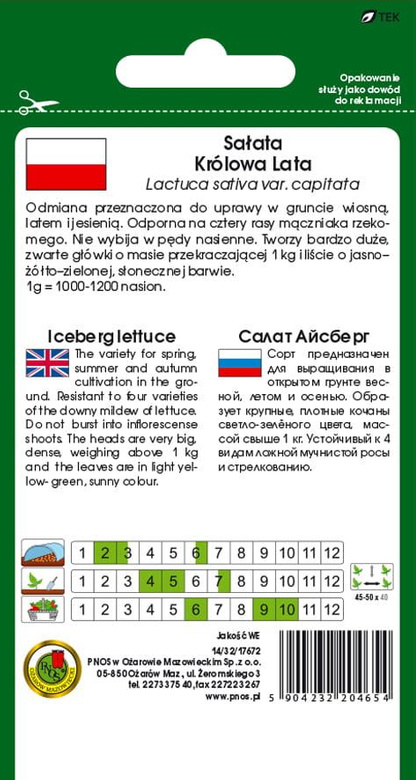 Crisphead lettuce QUEEN OF SUMMER 1g (Lactuca sativa var. capitata)