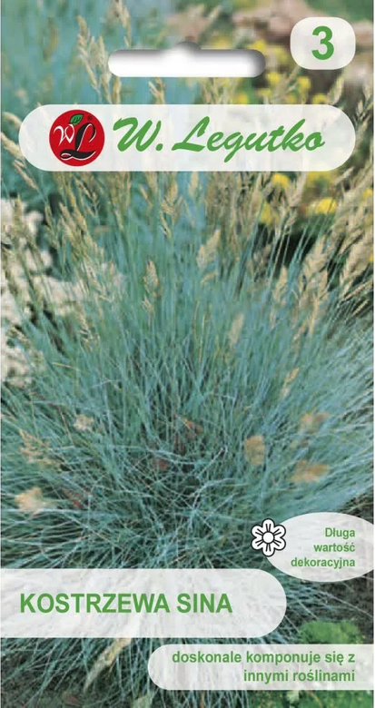 Silver-blue fescue 0.2g (Festuca glauca)