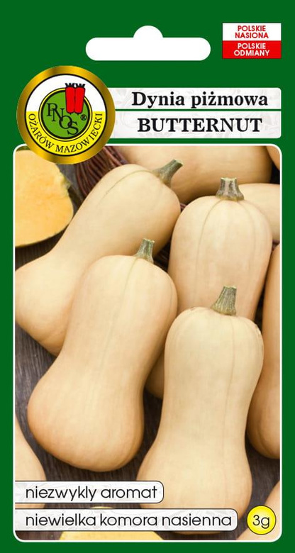 Dynia piżmowa BUTTERNUT 3g (Cucurbita moschata)